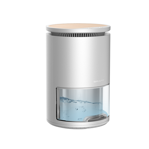 1 000 ml Peltier mini - Portable mini - air Dryer déshumidificateur domestique